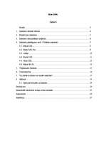 Referāts 'Internets', 2.