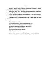 Referāts 'Internets', 3.