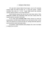 Referāts 'Internets', 4.