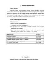 Referāts 'Internets', 7.