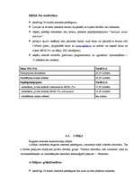 Referāts 'Internets', 9.