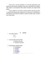 Referāts 'Internets', 17.