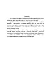 Referāts 'Internets', 24.