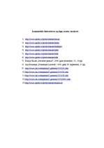 Referāts 'Internets', 25.