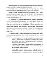 Diplomdarbs 'Nepilngadīgo likumpārkāpumu profilakse sociālpedagoģiskajā darbā', 10.