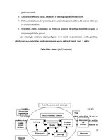 Diplomdarbs 'Nepilngadīgo likumpārkāpumu profilakse sociālpedagoģiskajā darbā', 18.