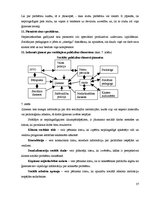 Diplomdarbs 'Nepilngadīgo likumpārkāpumu profilakse sociālpedagoģiskajā darbā', 37.