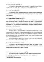 Referāts 'Latvieši Īrijā', 9.