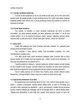 Referāts 'Latvieši Īrijā', 10.