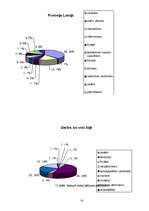 Referāts 'Latvieši Īrijā', 16.