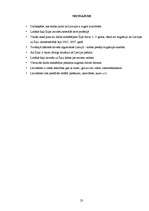 Referāts 'Latvieši Īrijā', 23.