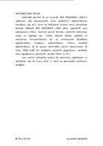 Referāts 'Apdrošināšanas sabiedrības biznesa plāns', 6.