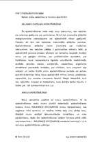 Referāts 'Apdrošināšanas sabiedrības biznesa plāns', 12.