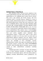 Referāts 'Apdrošināšanas sabiedrības biznesa plāns', 16.