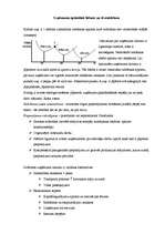 Konspekts 'Uzņēmējdarbības ekonomika', 7.