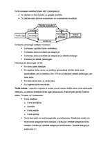 Konspekts 'Uzņēmējdarbības ekonomika', 24.
