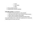 Konspekts 'Uzņēmējdarbības ekonomika', 30.