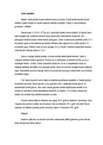 Referāts 'Zeme', 2.