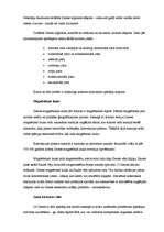 Referāts 'Zeme', 13.