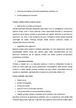 Referāts 'Nekustamā īpašuma tirgus un nekustamā īpašuma nodokļa mijiedarbība', 17.