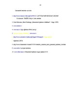 Referāts 'Nekustamā īpašuma tirgus un nekustamā īpašuma nodokļa mijiedarbība', 29.