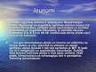 Prezentācija 'Islande', 28.