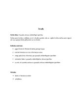 Referāts 'Nelabvēlīgās jauniešu īpatnības', 3.