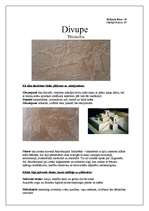 Konspekts 'Divupe. Tēlniecība', 1.