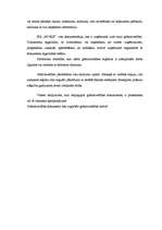 Referāts 'Iekšējās kontroles sistēma uzņēmumā', 6.