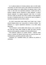 Referāts 'Iekšējās kontroles sistēma uzņēmumā', 8.