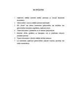 Referāts 'Iekšējās kontroles sistēma uzņēmumā', 11.