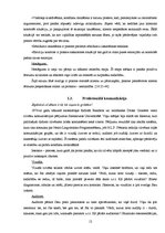 Referāts 'Pārdevēju un reklāmu ietekme uz patērētājiem', 12.