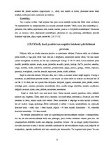 Referāts 'Pārdevēju un reklāmu ietekme uz patērētājiem', 13.