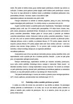 Referāts 'Pārdevēju un reklāmu ietekme uz patērētājiem', 23.