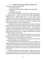 Referāts 'Pārdevēju un reklāmu ietekme uz patērētājiem', 26.