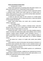 Referāts 'Pārdevēju un reklāmu ietekme uz patērētājiem', 42.