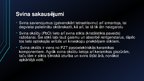 Prezentācija 'Alva un svins', 3.