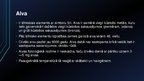 Prezentācija 'Alva un svins', 15.