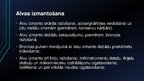 Prezentācija 'Alva un svins', 17.
