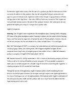 Referāts 'Apple corporate governance, business model innovation', 17.