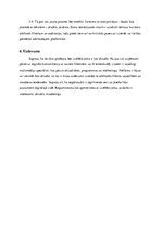 Prakses atskaite 'Prakses atskaite PRAE sabiedrisko attiecību aģentūrā', 11.