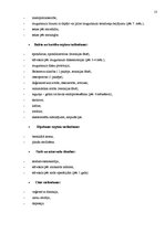 Referāts 'Reitterapija Latvijā', 12.