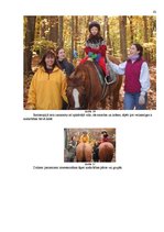 Referāts 'Reitterapija Latvijā', 41.