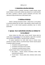 Paraugs 'Reklāmas un sabiedrisko attiecību vadība', 2.