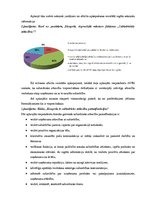 Paraugs 'Reklāmas un sabiedrisko attiecību vadība', 3.