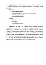 Referāts 'Arhitektūras elementu izmantošana Rīgas jūgendstilā', 5.