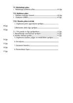 Biznesa plāns 'Restorāns "Devītais vilnis"', 3.