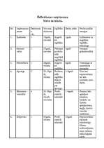 Biznesa plāns 'Restorāns "Devītais vilnis"', 28.