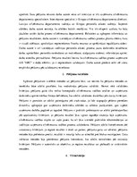 Referāts 'Maģistra darba analīze uzņēmējdarbības vadībā', 4.