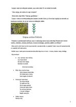 Referāts 'Liepa kā latviešu folkloras tēls', 5.